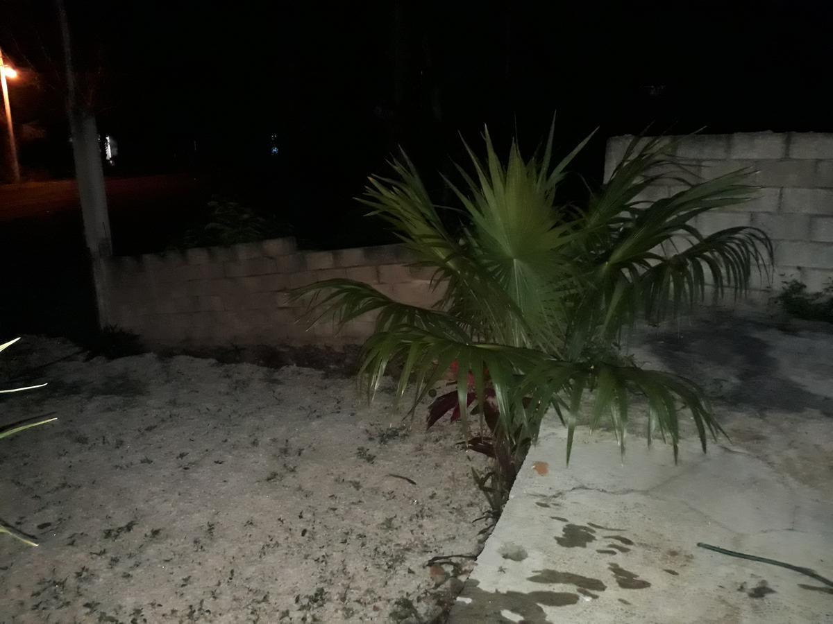 El Chac Mool Bed & Breakfast Santa Elena Dış mekan fotoğraf