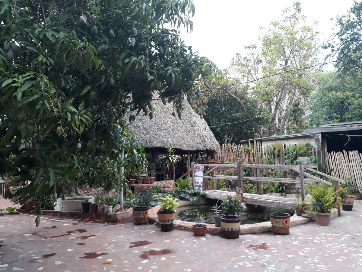 El Chac Mool Bed & Breakfast Santa Elena Dış mekan fotoğraf